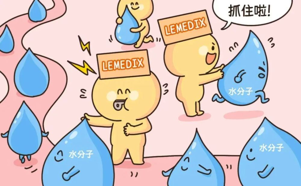 负责调度皮肤里的水分,让不安分的水分子没有机会逃逸.指挥调度!