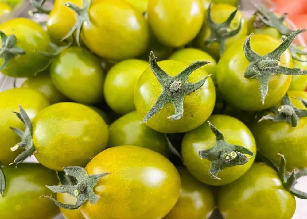 福利来了邀请您免费品尝鲜甜爆汁的金山五彩小番茄