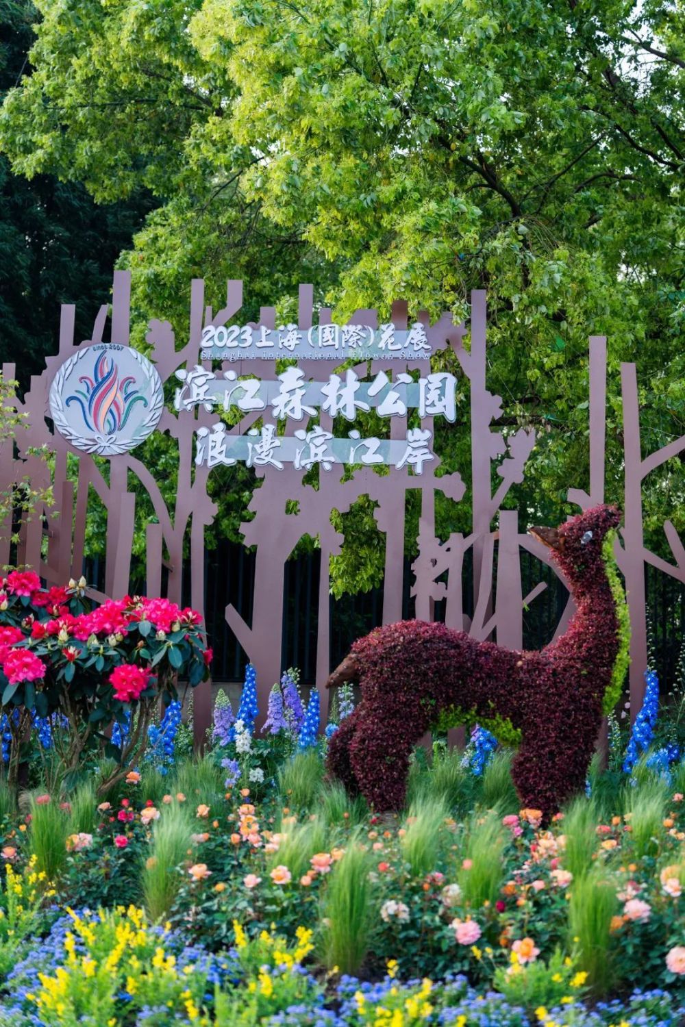 分享滨江森林公园杜鹃花展三大主题景点等你来打卡
