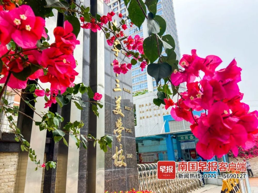周女士的儿子去年也通过"摇号",成功进入南宁市三美学校.