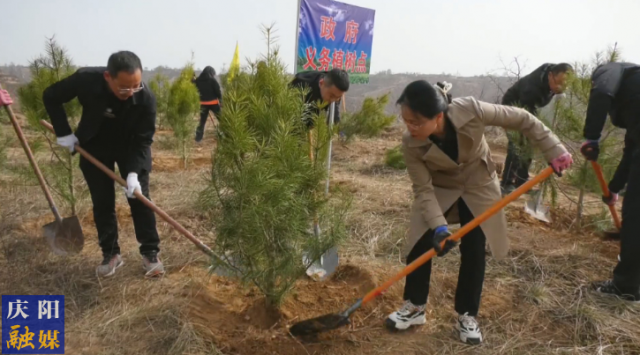 植树造林掀热潮 国土绿化谱新篇 腾讯新闻