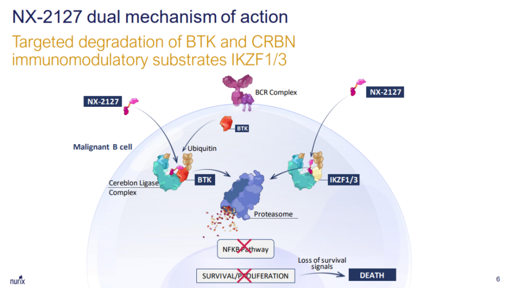 创新蛋白降解剂亮相AACR，它们代表着那些趋势？｜AACR_腾讯新闻