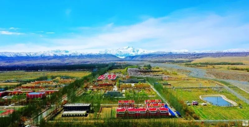 叶城二牧场"团镇合一"管理体制迈出重要一步城镇建设工作取得新进展