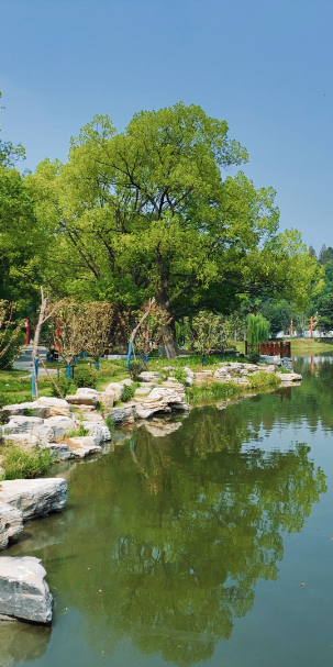 八嶺山鎮龍隱湖景區(特色民宿,露營基地)——淺山森林美術園(遊園賞景