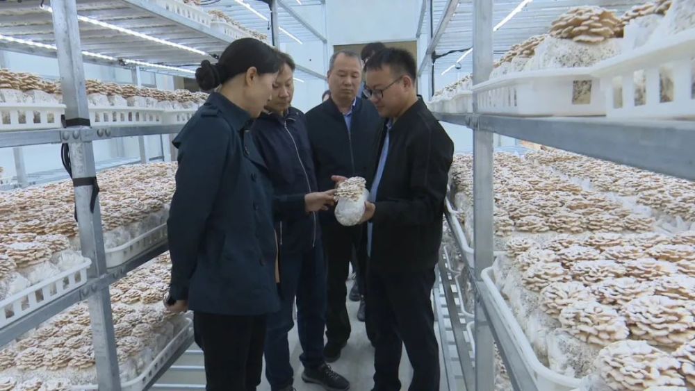 农工党中央调研组来大方考察调研_腾讯新闻