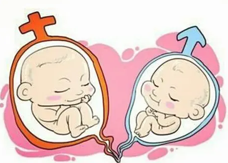 亲!双绒双羊双胞胎是什么意思"标新立异"-第1张图片-飘零博客