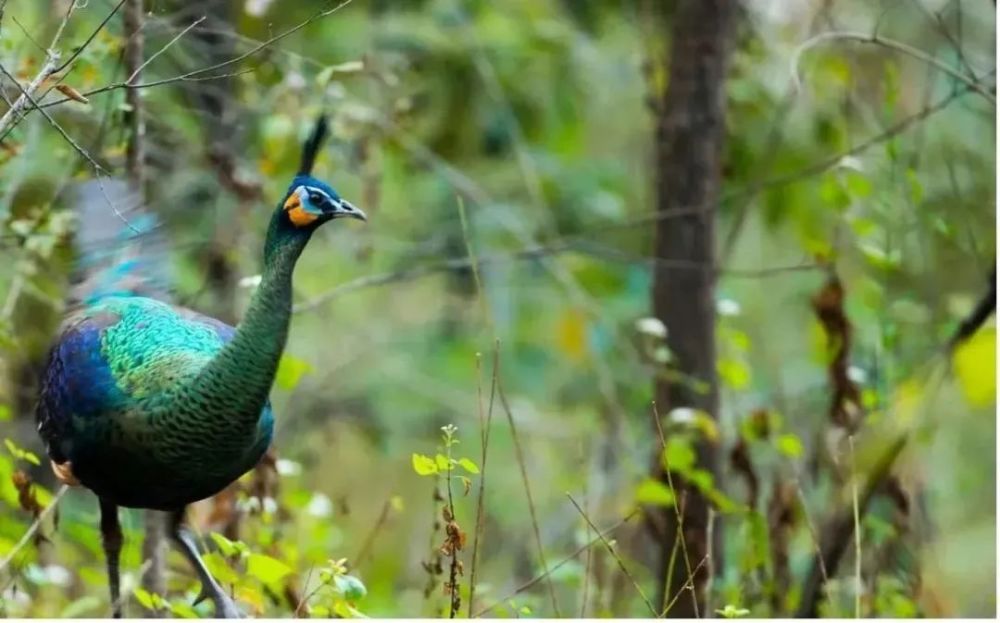远山博学课丨奚志农:热爱让一切事物变得有趣起来_腾讯新闻
