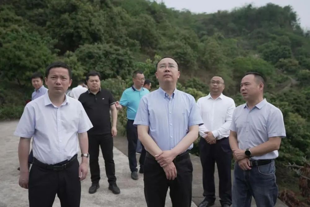 【开足马力抓发展】黄修国带队调研农业产业暨重点工程_腾讯新闻