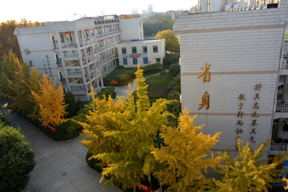 春华中学&峰峰职教招收特长生!报名开始_腾讯新闻