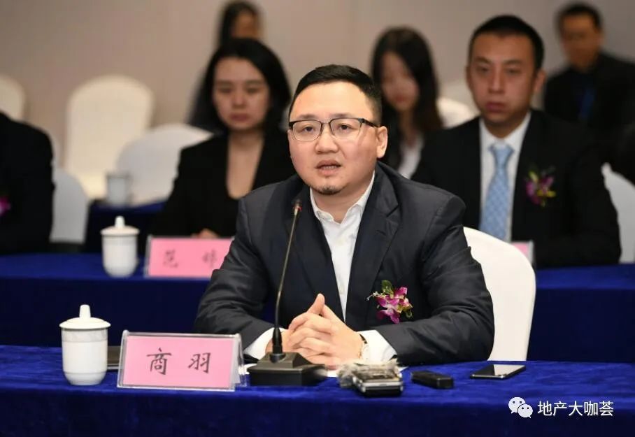 失联总裁商羽的融创一梦