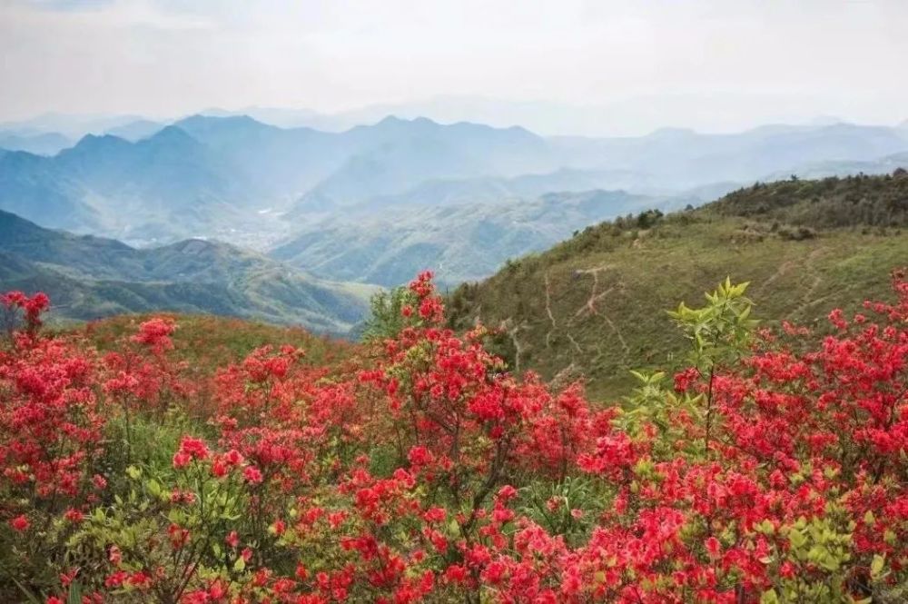 黄岩太湖山图片