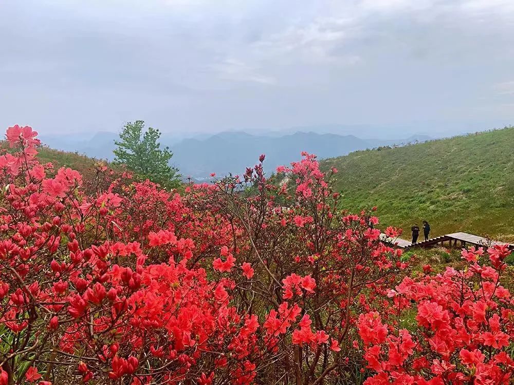 黄岩太湖山图片