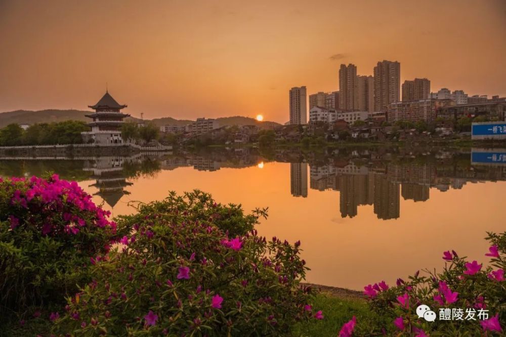 醴陵特色壁纸如果突然发现了清新,大气的在那些琳琅满目的壁纸中
