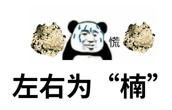 花的种植（鸢尾花的种植方法50字） 第3张