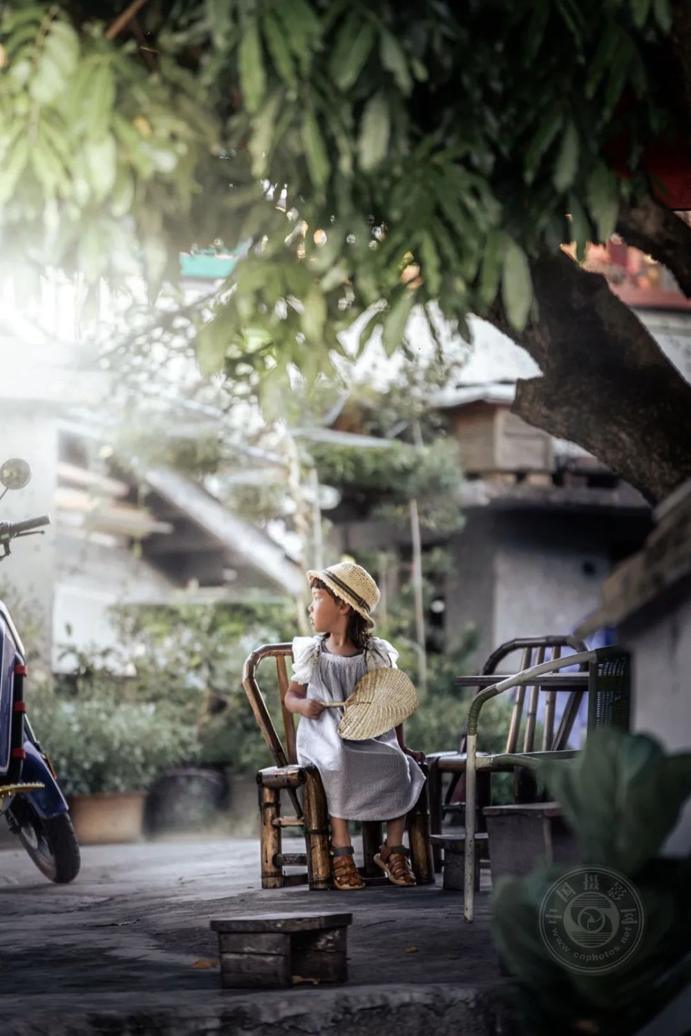 袁媛,网名赋睿多猫,孩子和旅行摄影师,人称"猫神".