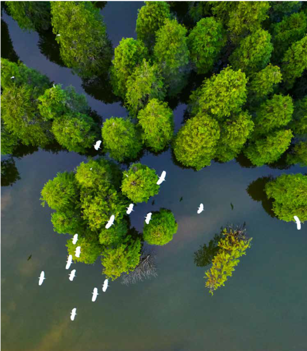 生态文明示范建设331生态文明建设示范区安徽省安庆市怀宁县