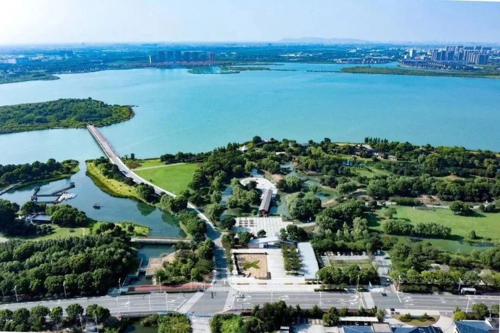 盛泽湖月季园,花都开好了!_腾讯新闻