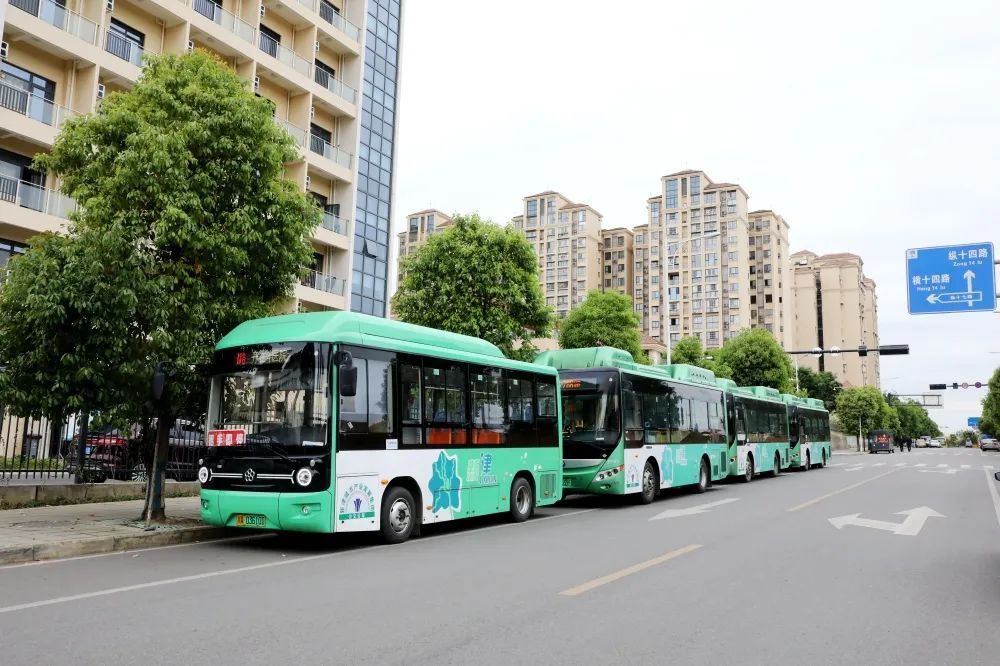 探索公交区域服务新路径乘车招手即停·新津公交车