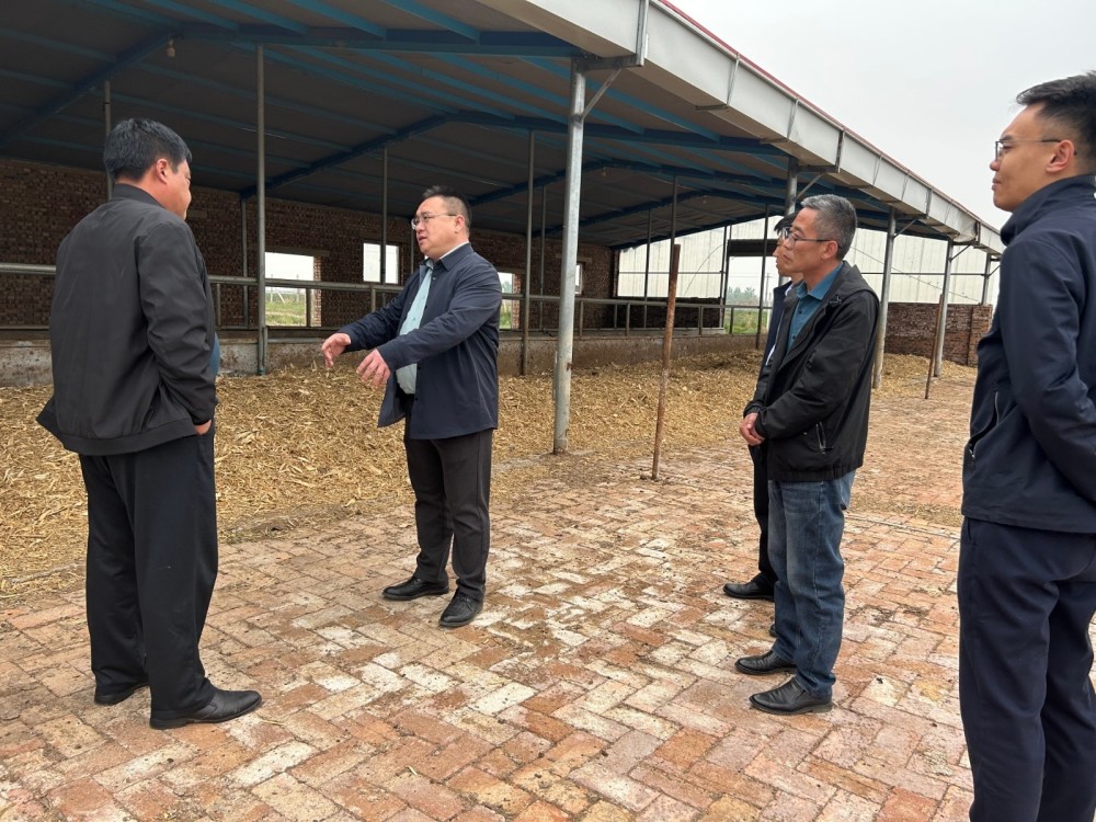 水落坡镇开展村集体经济专题调研活动