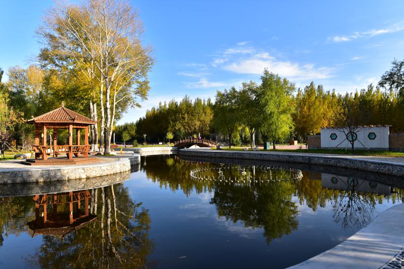 【生态立企】通北:莽莽林海转化绿色财富 这份生态答卷"春"意盎然