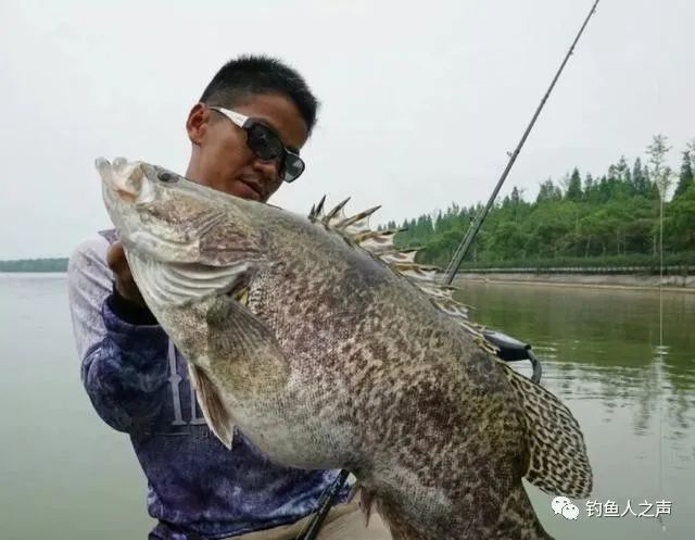 为钓鱼摆过地摊，路亚领军人物——龚磊，是怎么炼成的？_腾讯新闻