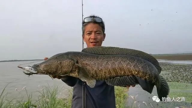 为钓鱼摆过地摊，路亚领军人物——龚磊，是怎么炼成的？_腾讯新闻