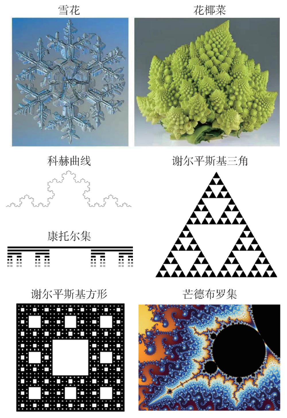 经典分形图图片