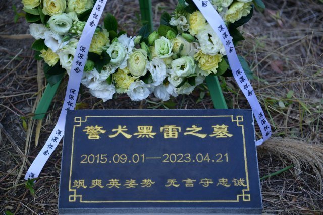 云南缉毒犬"黑雷" 走了