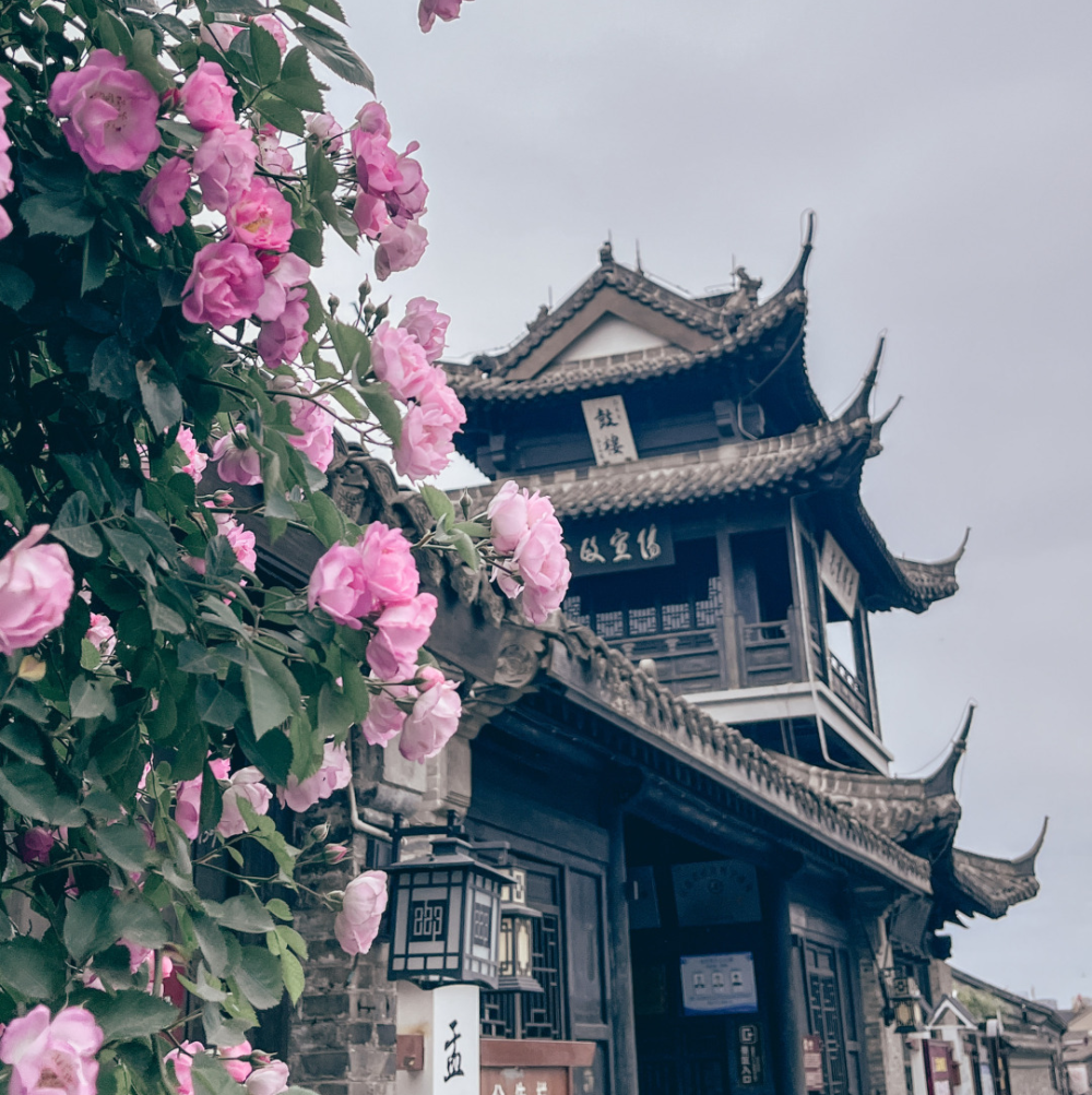 宝藏打卡地高邮