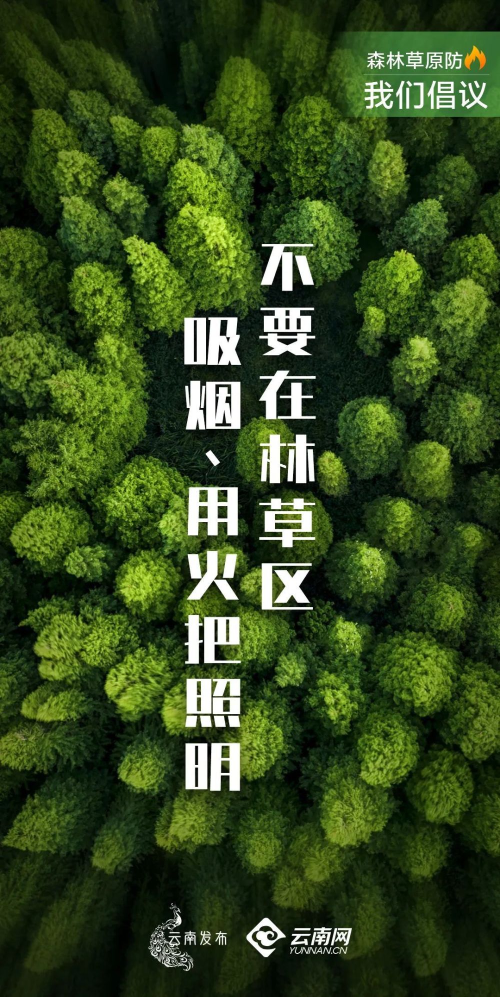 森林草原防火艺术字图片