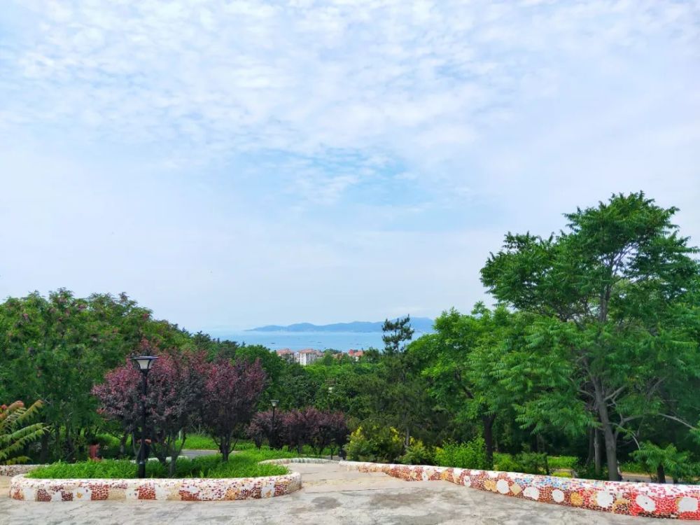 大连景点丨金石滩植物园_腾讯新闻