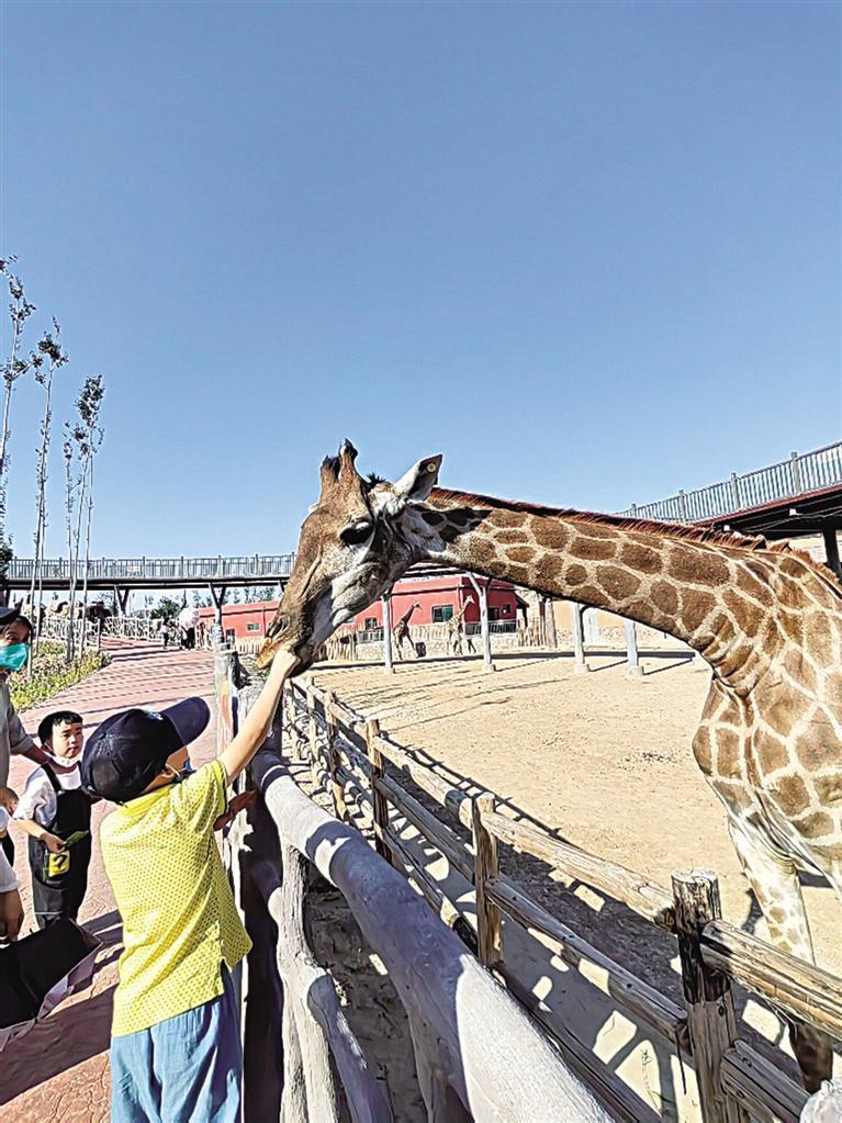 假期乐趣尽在兰州野生动物园