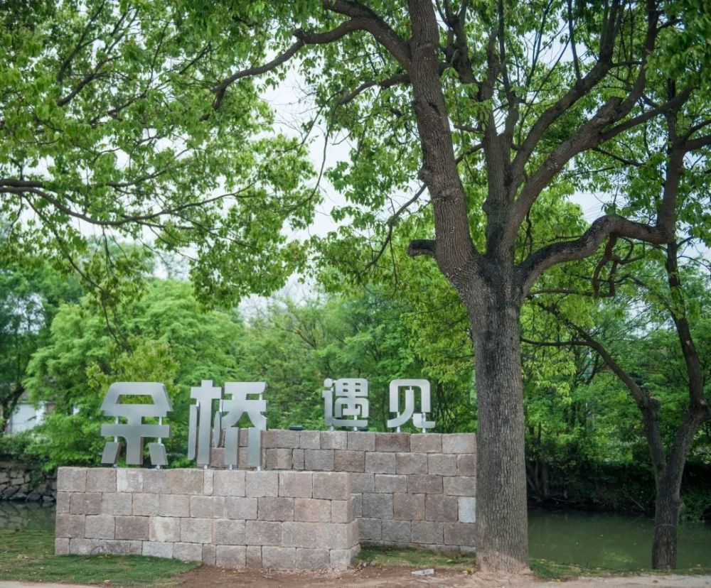 灵溪这个社区好美!_腾讯新闻