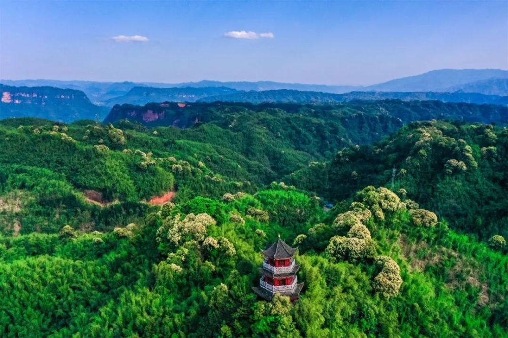 一起去沐川"森"呼吸…_腾讯新闻