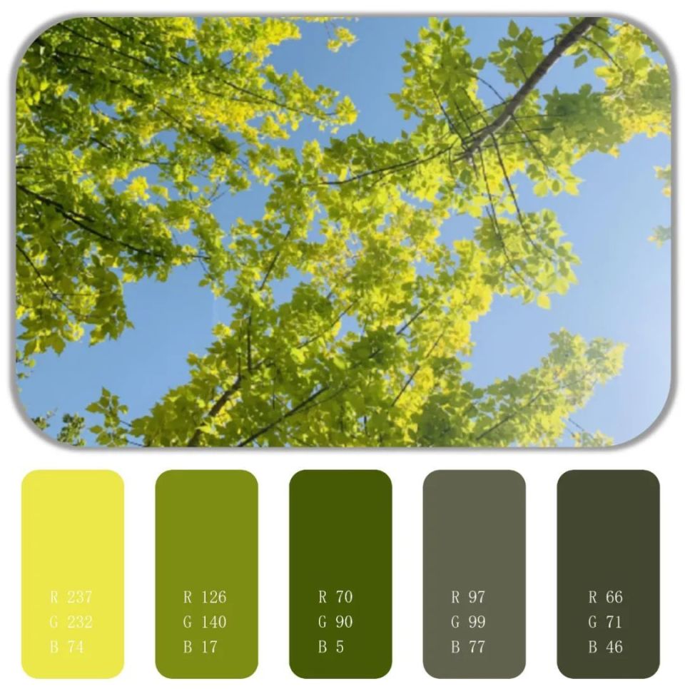 春日色卡|抓住春天的尾巴