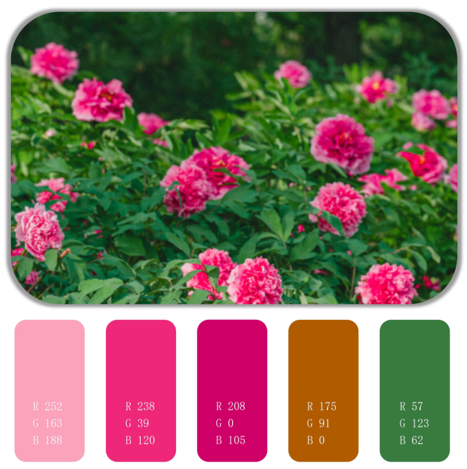 春日色卡|抓住春天的尾巴