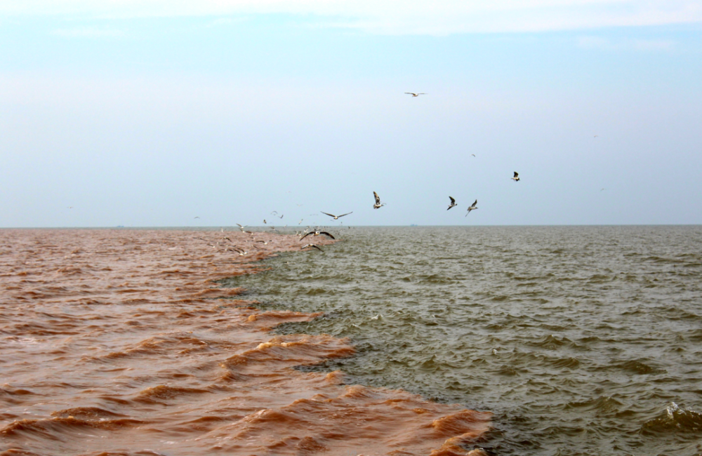 山东知名景区“霸气”公告：看不到景观全额退款！网友：主打一个真诚到底是什么意思-313啦实用网