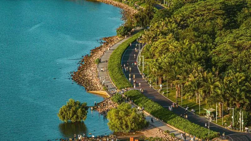 出地铁口就看到海的地方就是这里前阵子冲上热搜别错过深圳湾公园如果