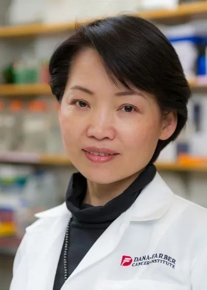 细胞平衡决定癌症发生赵景团队nature论文揭示pten和pi3kβ的相互平衡