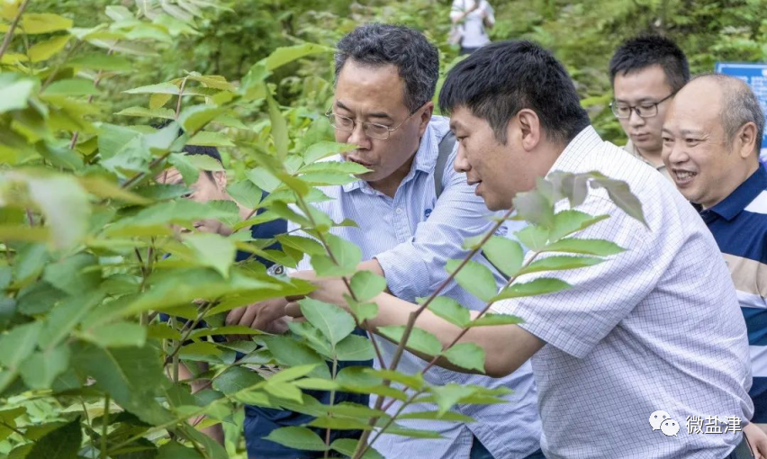 章双杰专家工作站是由中国农业科学院家禽研究所研究员章双杰团队及