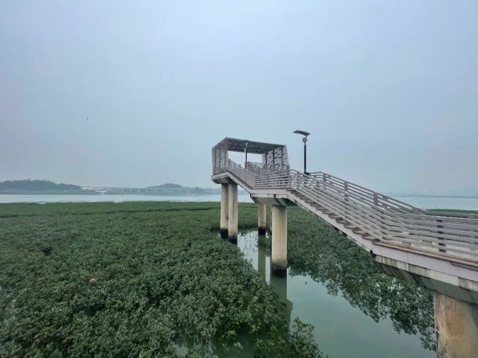 翔安这处湿地公园满眼皆美景!儿童玩乐,野餐聊天绝佳去处!