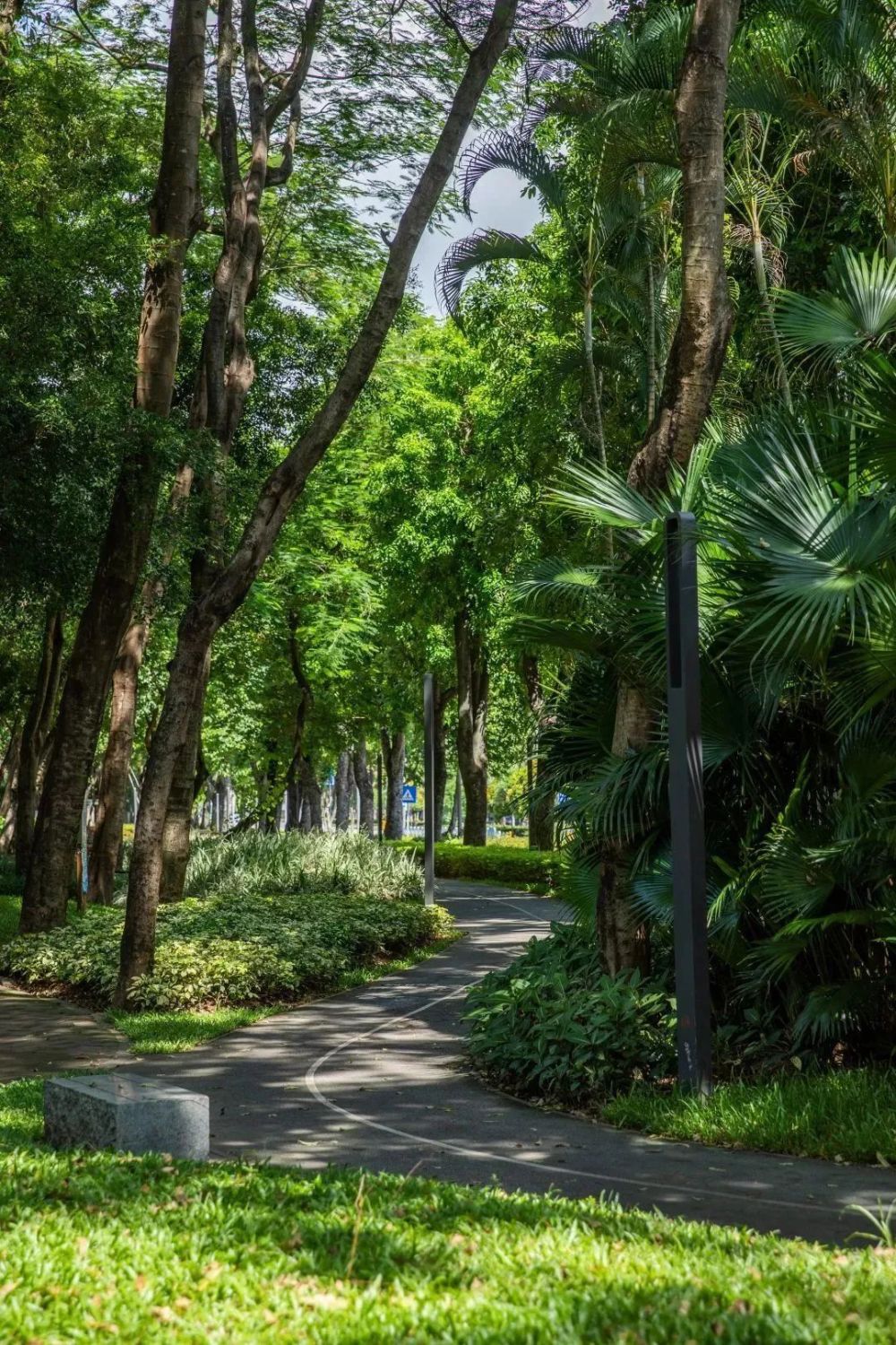 山河成海行走在碧道上能看到河道两边栽满绿植风吹过的时候岸边绿植