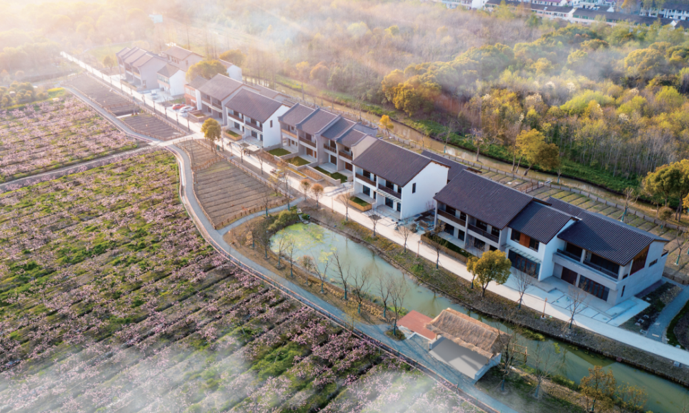 良辰好景归处庄行郊野公园丨奉贤风物