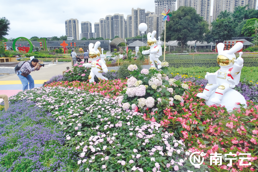 花境（花境景观设计论文）