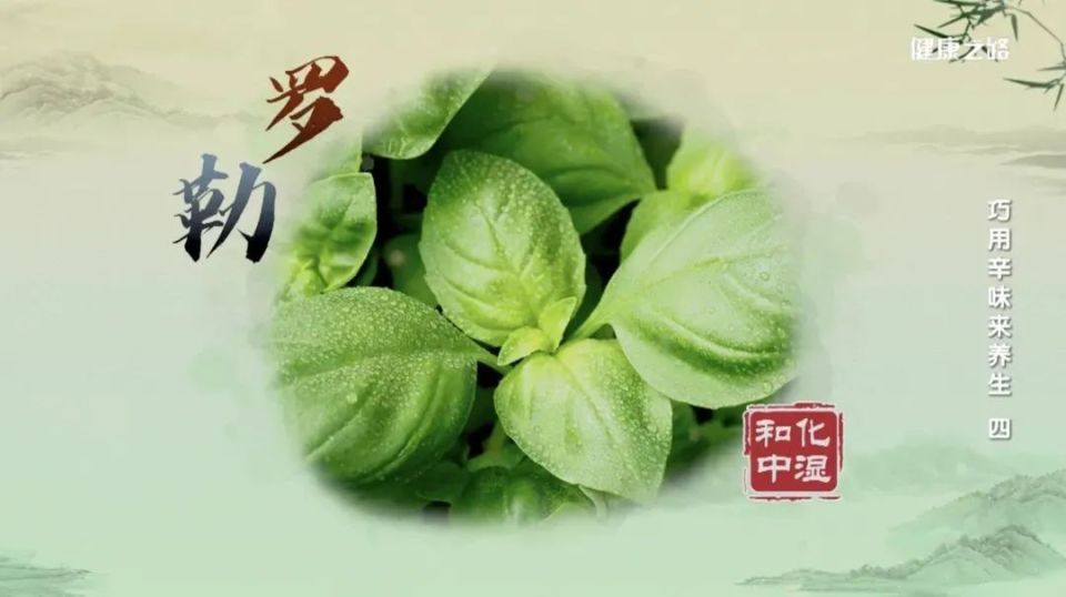花椒、罗勒、木姜子，教您巧用辛味食材来养生！_腾讯新闻