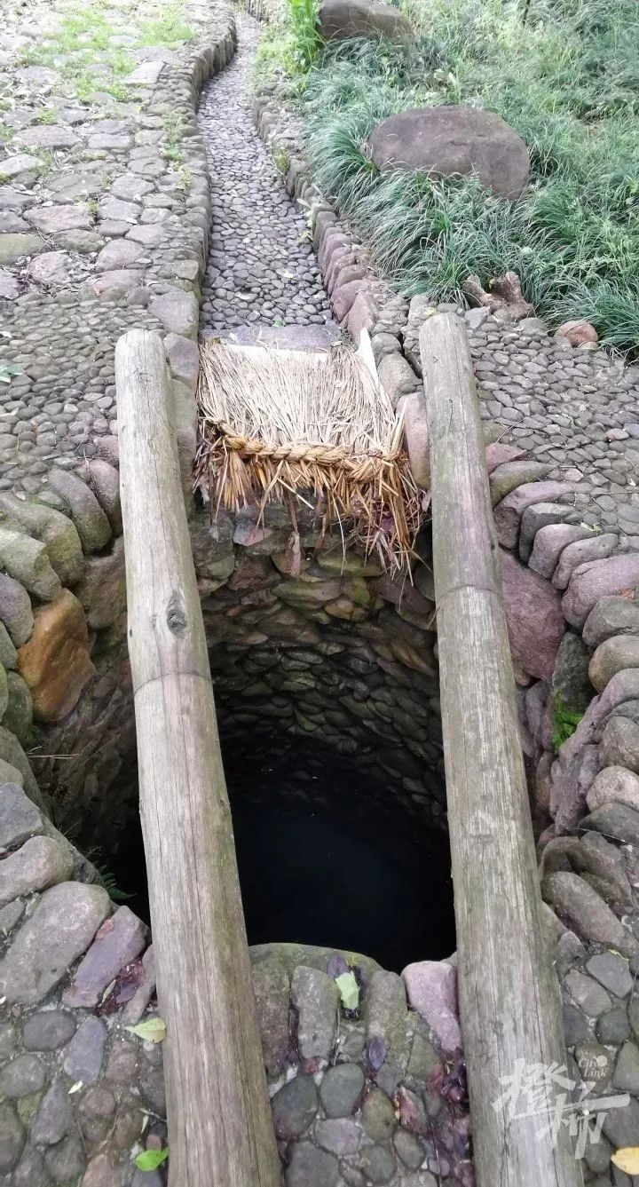 离杭州一个半小时车程,蒸土鸡,小溪鱼,香榧酒……两天玩遍这座"乡村