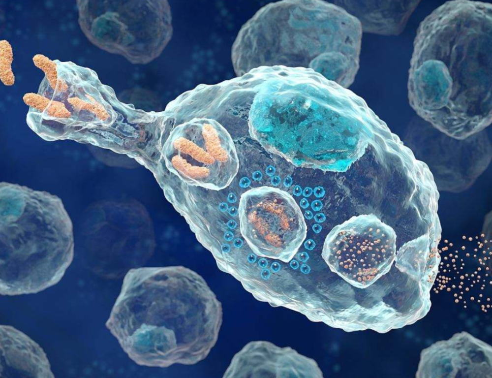 复旦大学叶丹团队提出巨噬细胞靶向干预和提高抗肿瘤免疫治疗效果的