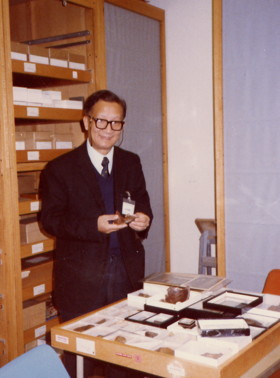 致敬科技工作者 | 吴新智:以澄净之心探寻人类起源_腾讯新闻