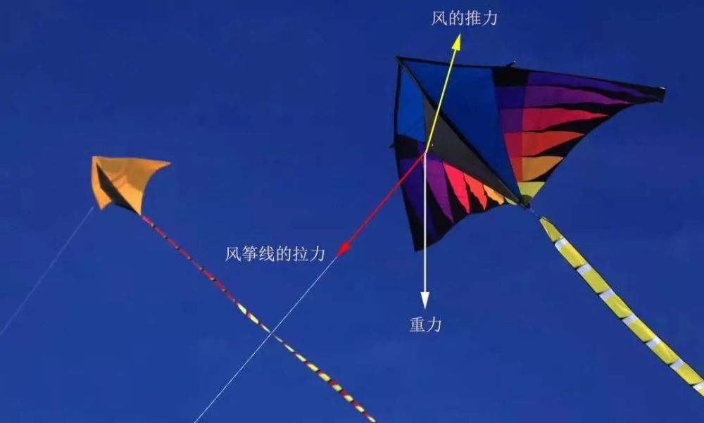 忙趁东风放纸鸢的你,知道风筝飞行的原理吗?_腾讯新闻