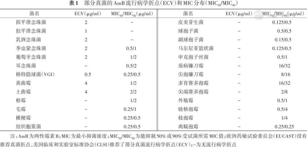 两性霉素b去氧胆酸盐图片